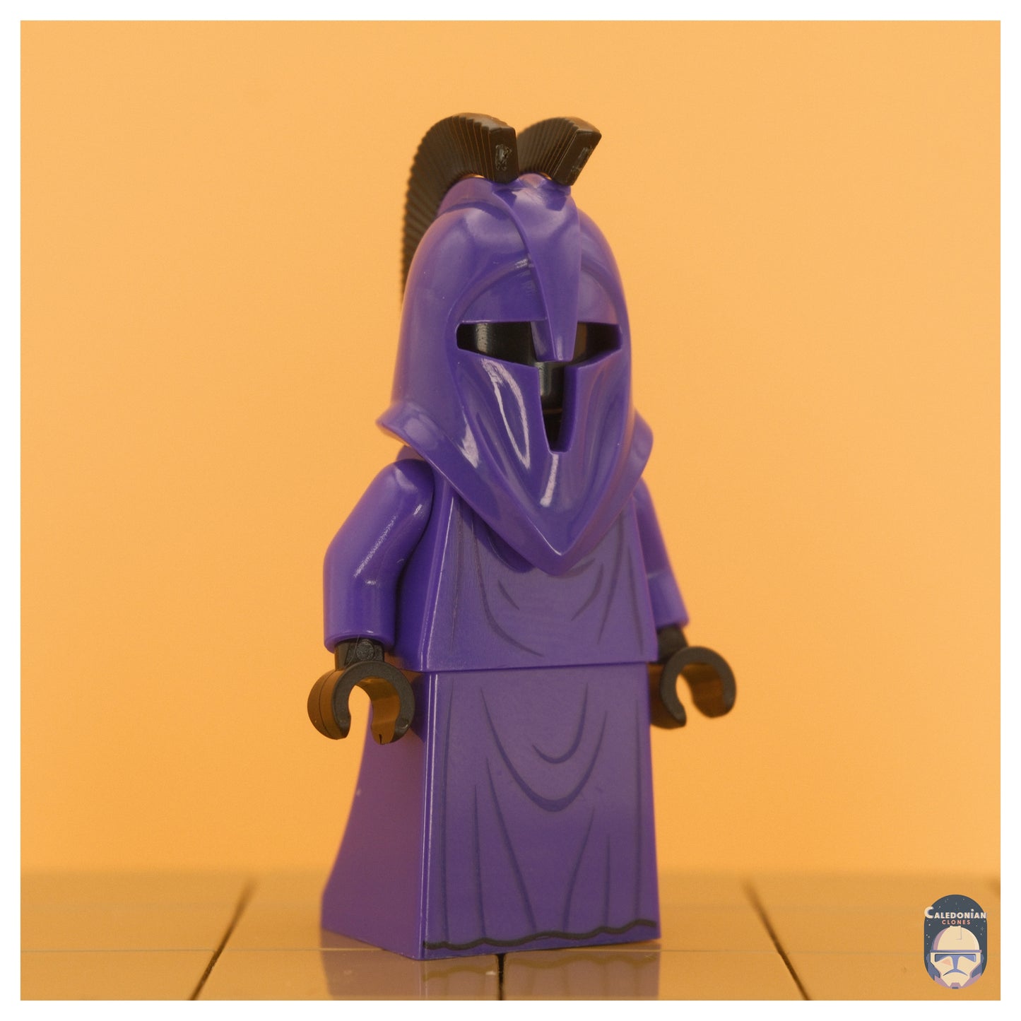 GCC Senate Guard