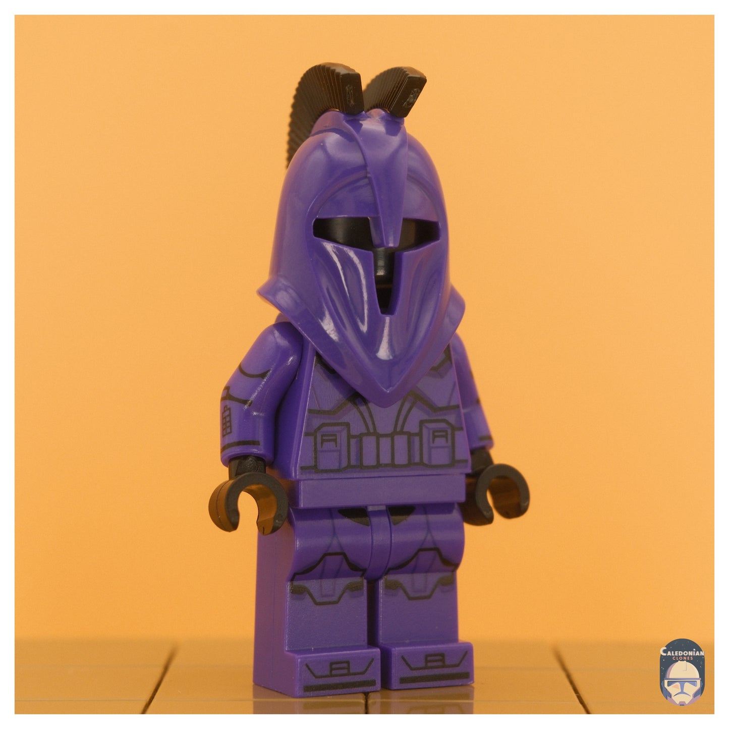 GCC Senate Trooper