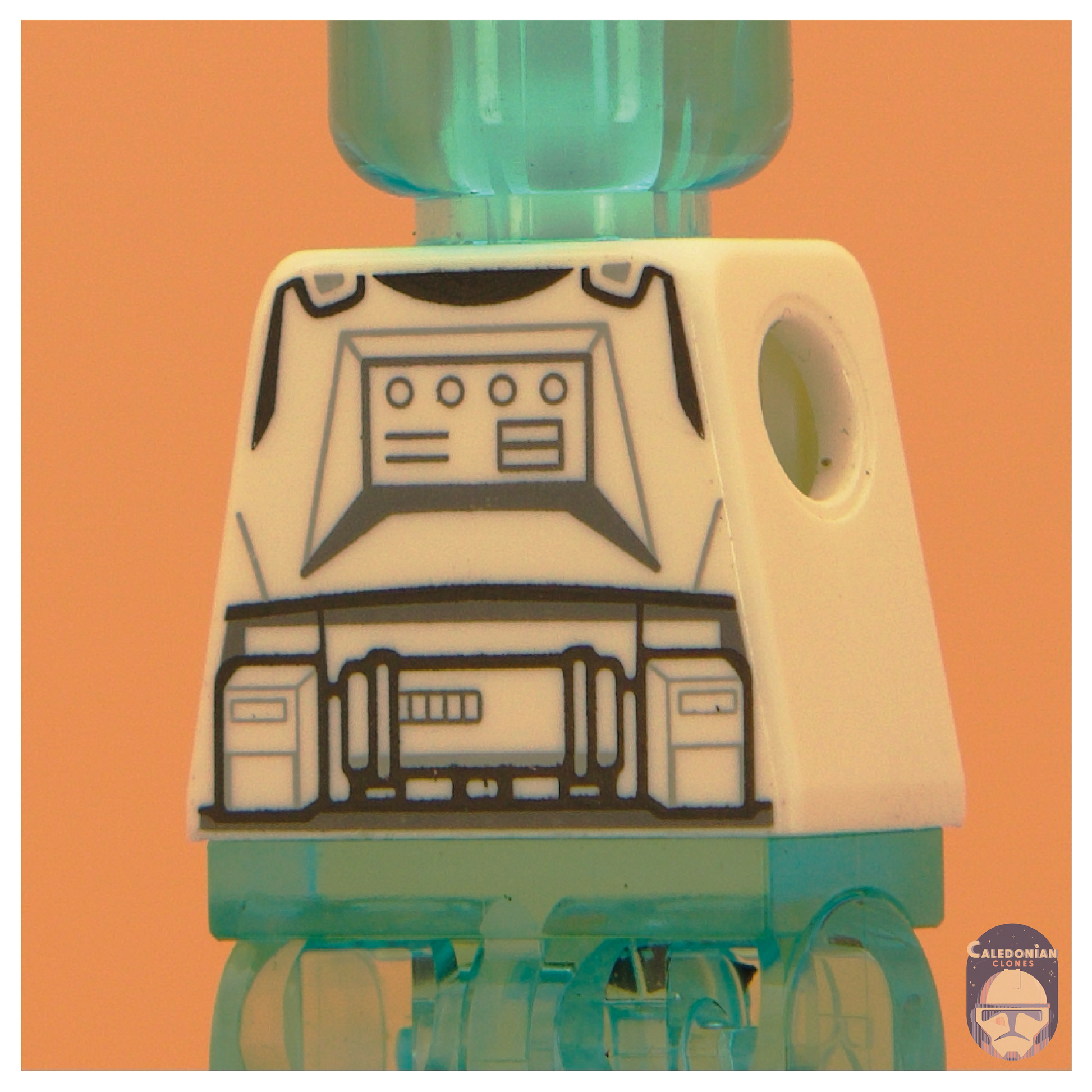GCC 91st Torso Back