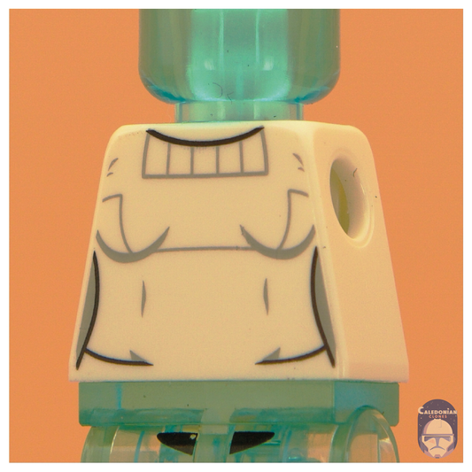 GCC Padme Torso (Geonosis Outfit, Undamaged)