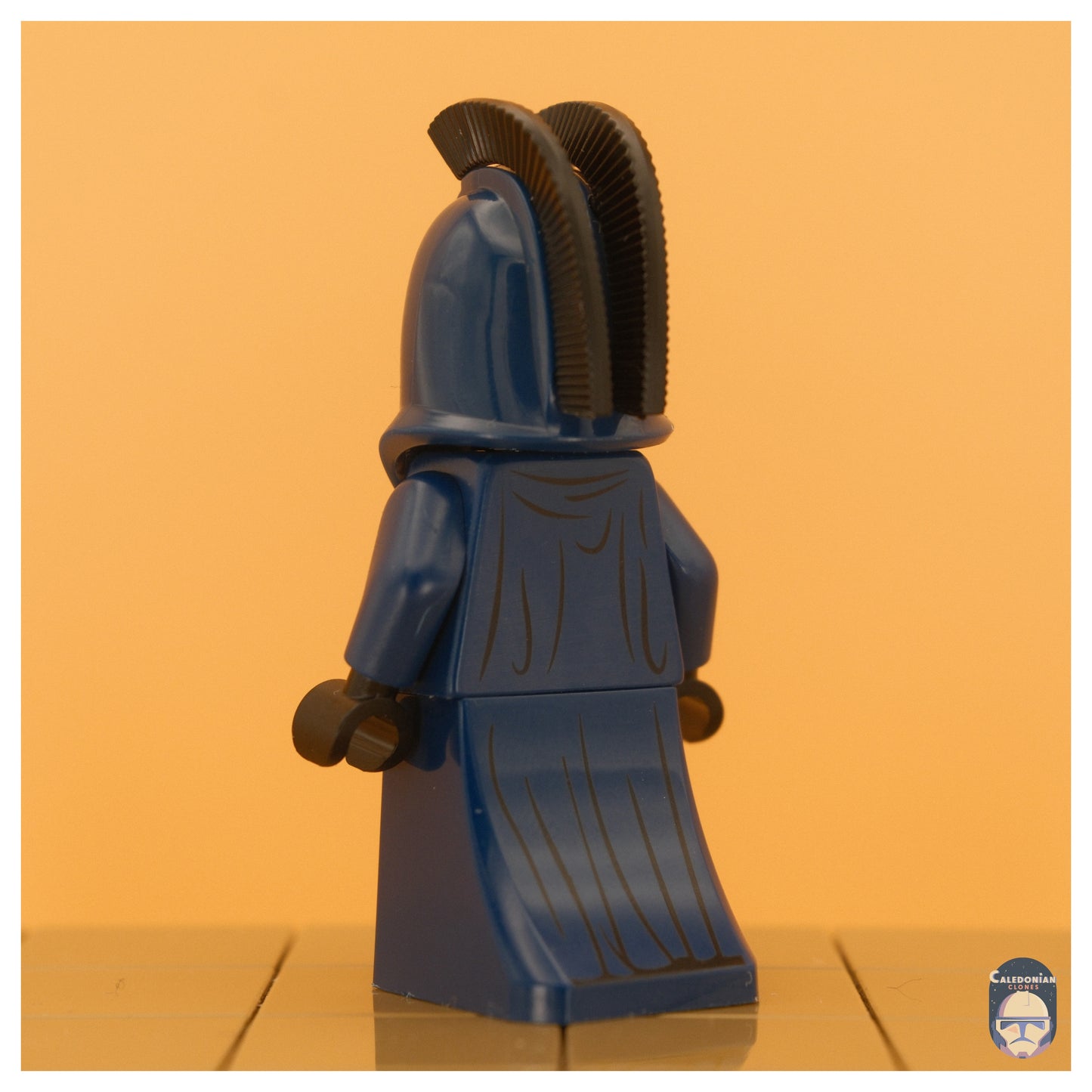 GCC Senate Guard