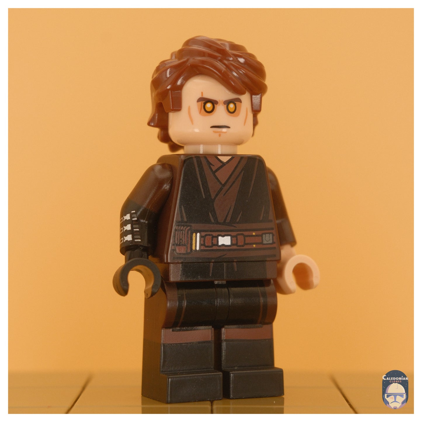 Ra'is Anakin (Ep III)