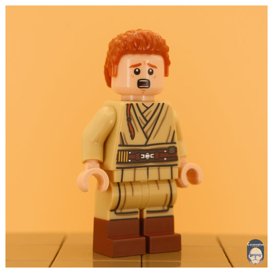 Ra'is Novice Negotiator