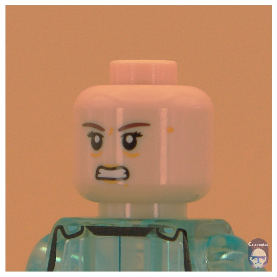 Ra'is Dedra Meero Head