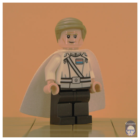 Ra'is Director Krennic (Ceremonial Outfit)