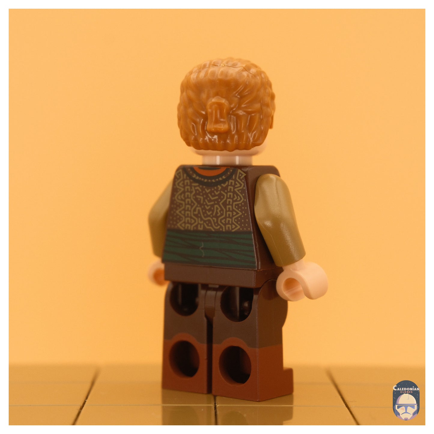 Ra'is Anakin (Ep II, Journey to Naboo Outfit)