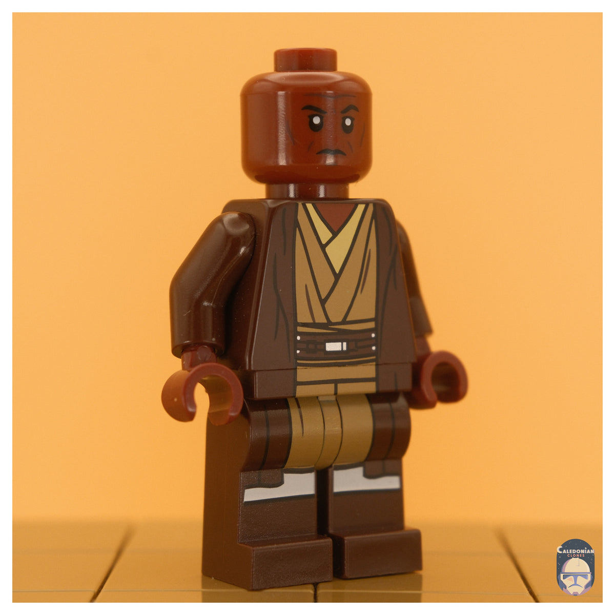 SC The Mistrustful Master