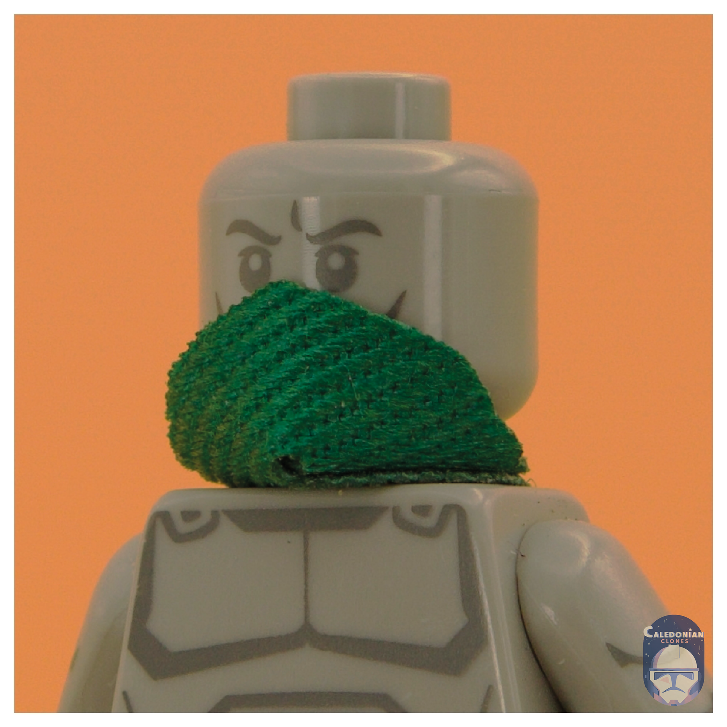 TBW Mask/Bandana/Scarf