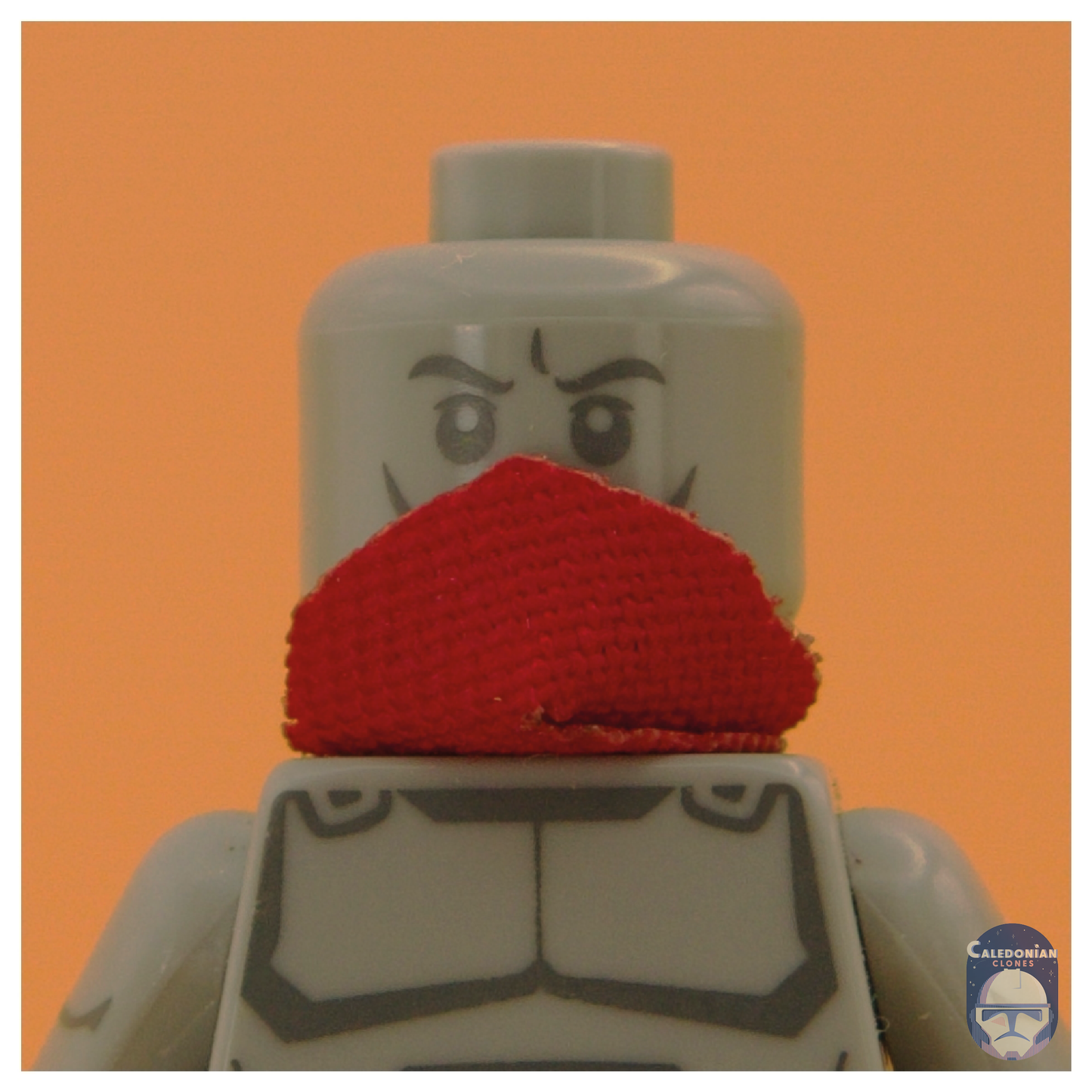 TBW Mask/Bandana/Scarf