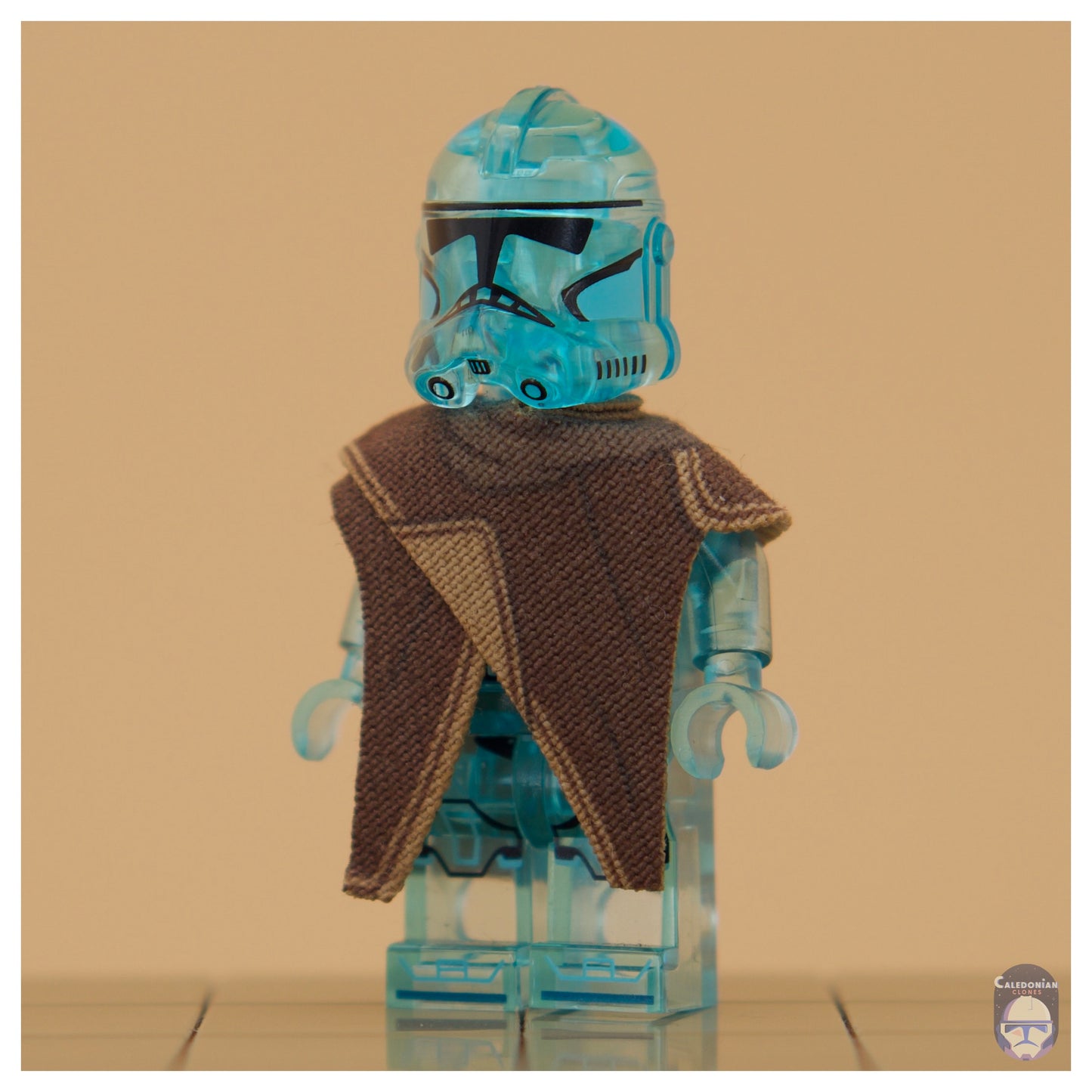 TBW Rex Poncho
