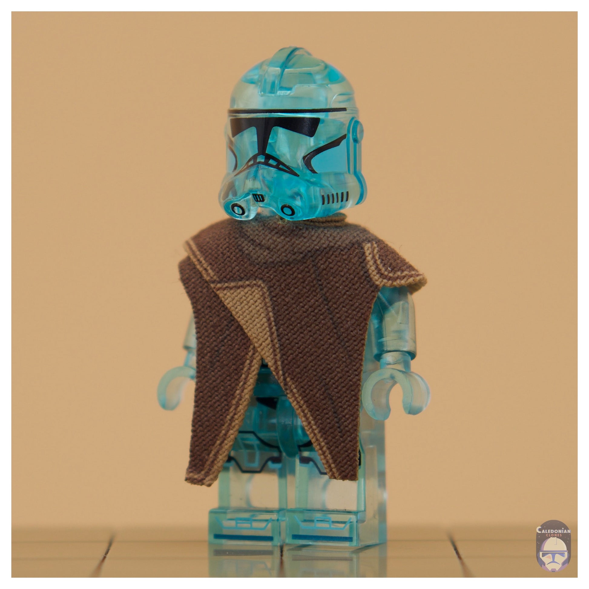 TBW Rex Poncho