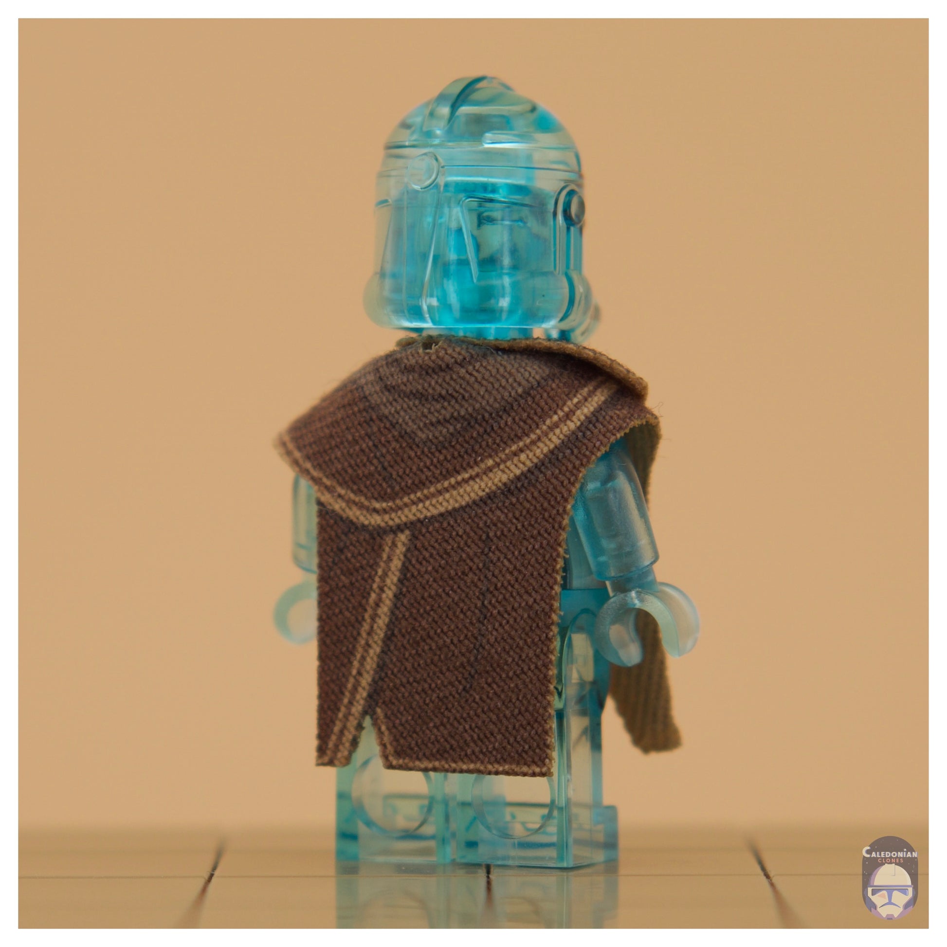 TBW Rex Poncho